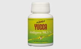 YUCCA SHIDIGERA 98,5 % - Zázračné saponíny