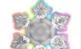 Masaru EMOTO - významný japonský vedec