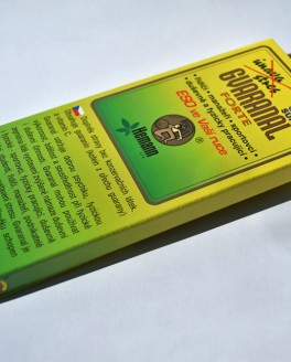 GVARANAL forte + vit.C 20 x 1100 mg